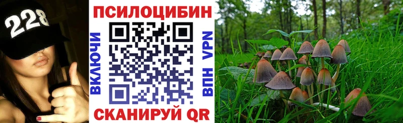 Псилоцибиновые грибы ЛСД где найти мега рабочий сайт Тетюши